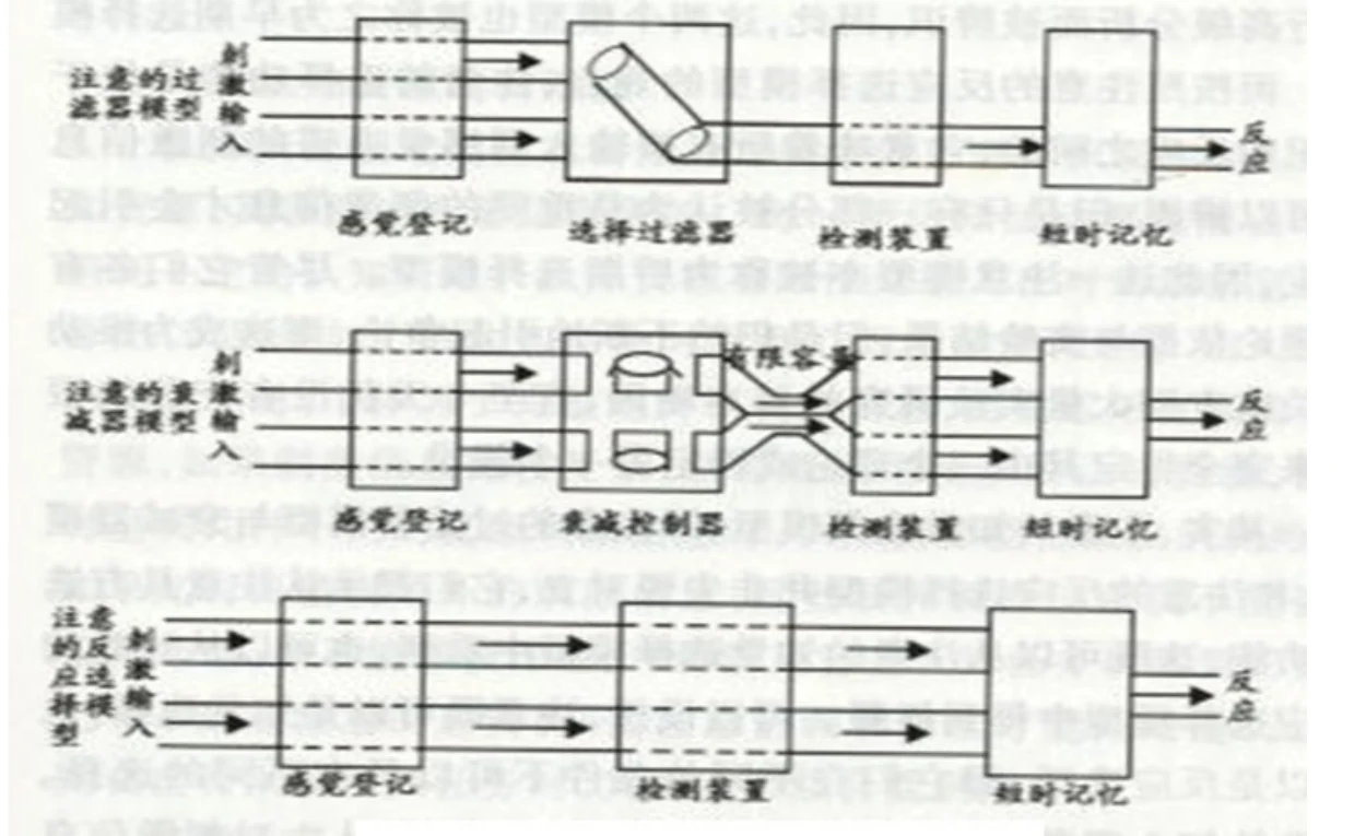 过滤器、衰减和反应选择三种注意模型的处理位置