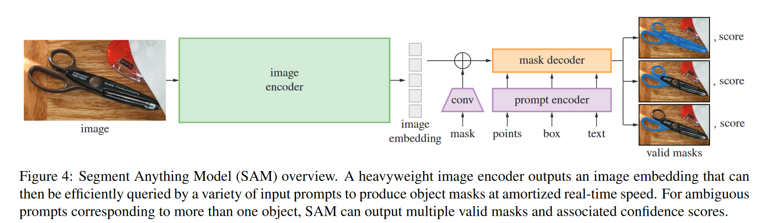 SAM 由图像编码器、提示编码器与掩码解码器组成